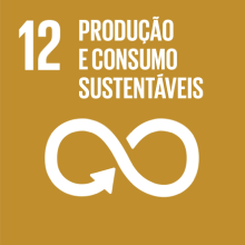 ODS 12