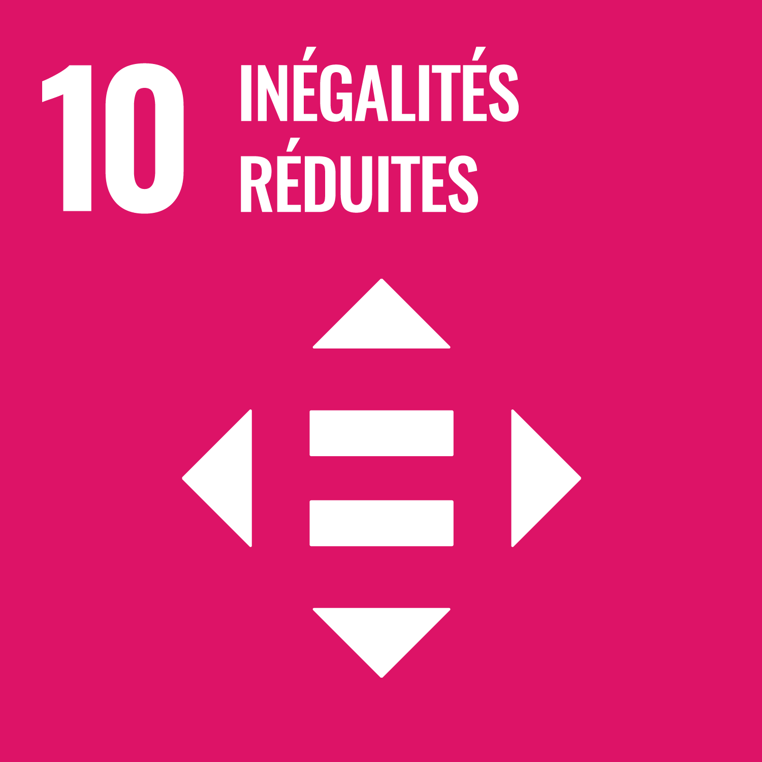 ODS 10