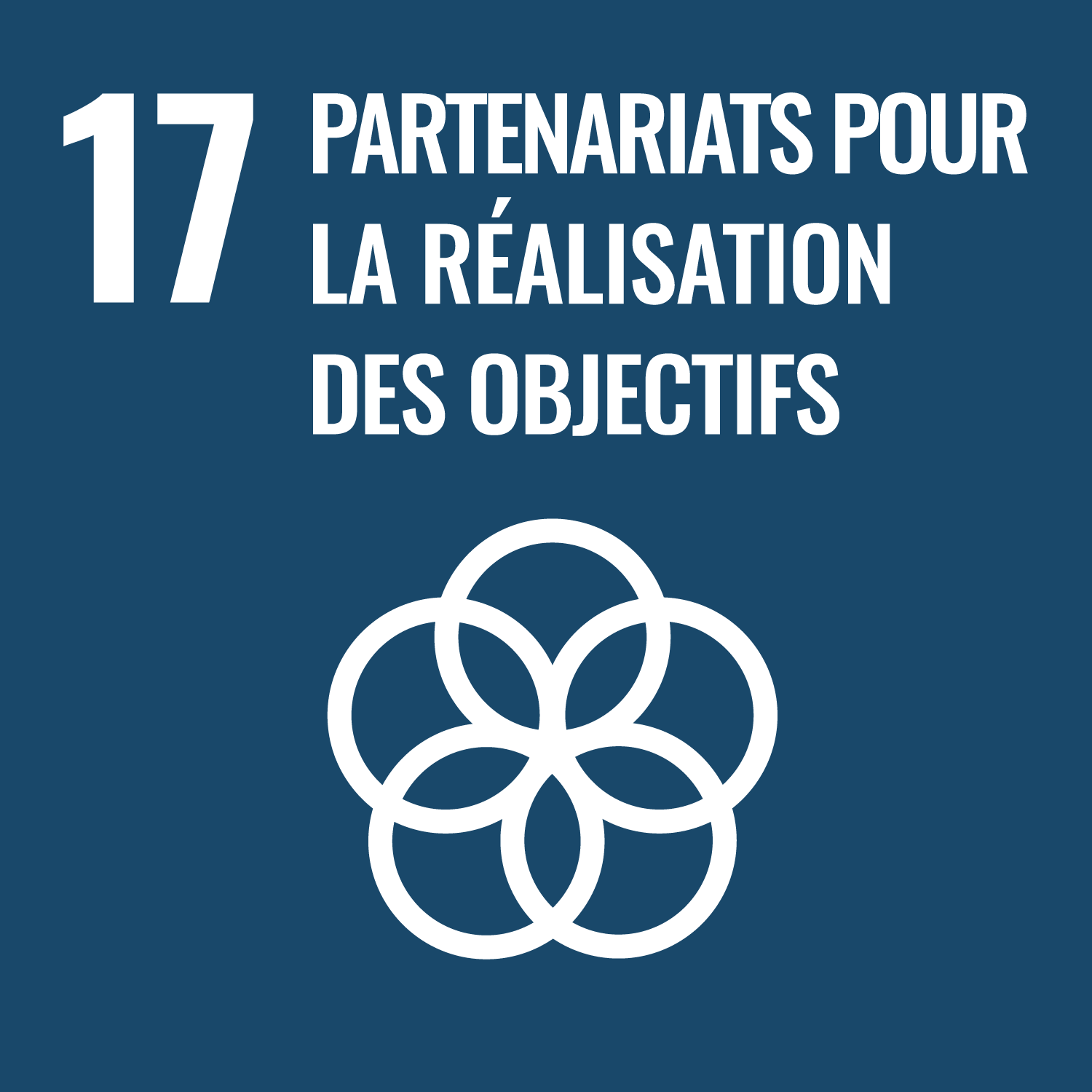 ODS 17