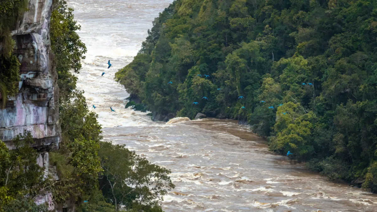 2024: Sustainable, Biodiverse and Global Impact