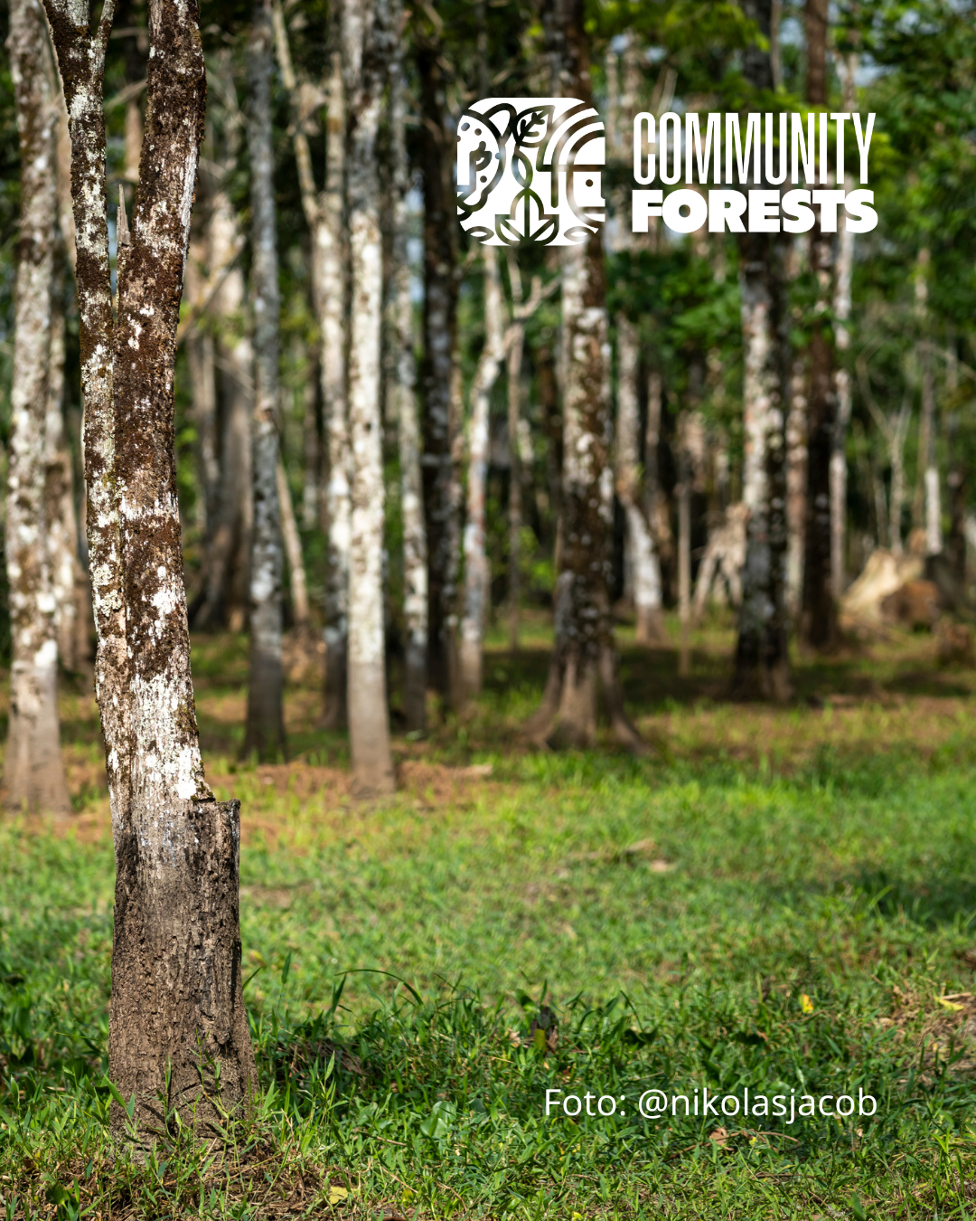 Soil: The root of the future