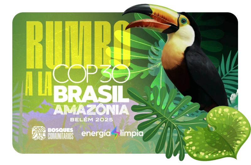 COP 30