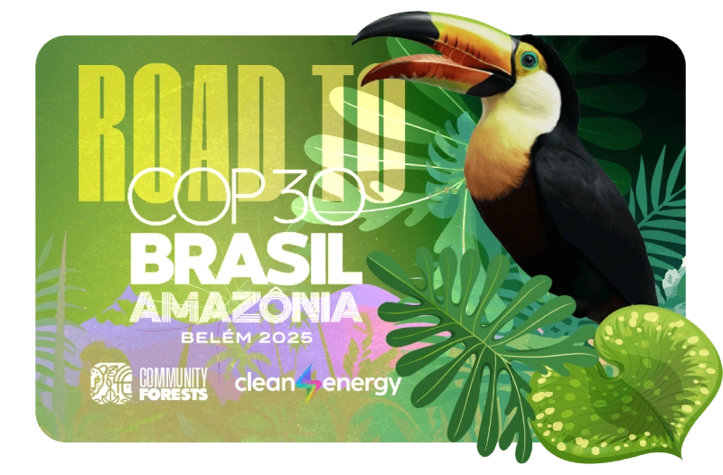 COP 30