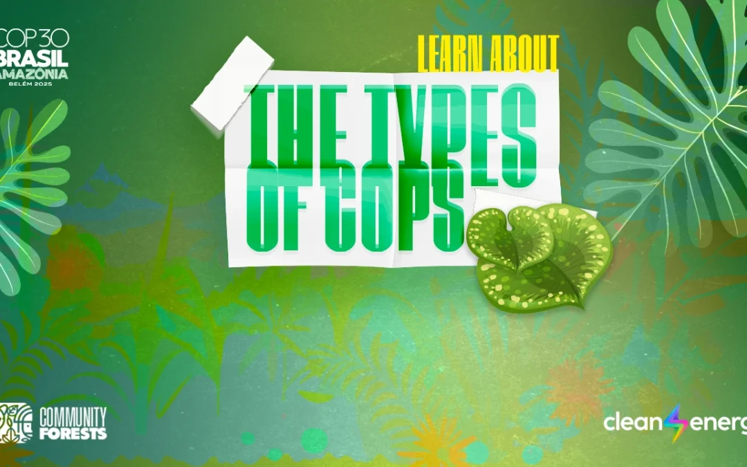 Types of COP: the three conferences shaping the planet’s future