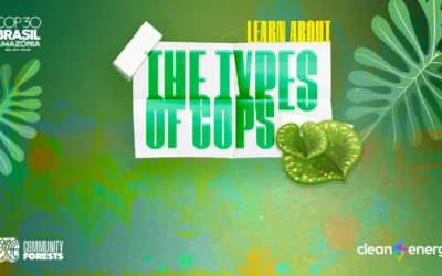 Types of COP: the three conferences shaping the planet’s future
