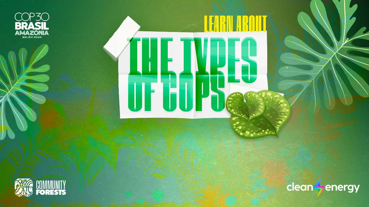 Types of COP: the three conferences shaping the planet’s future