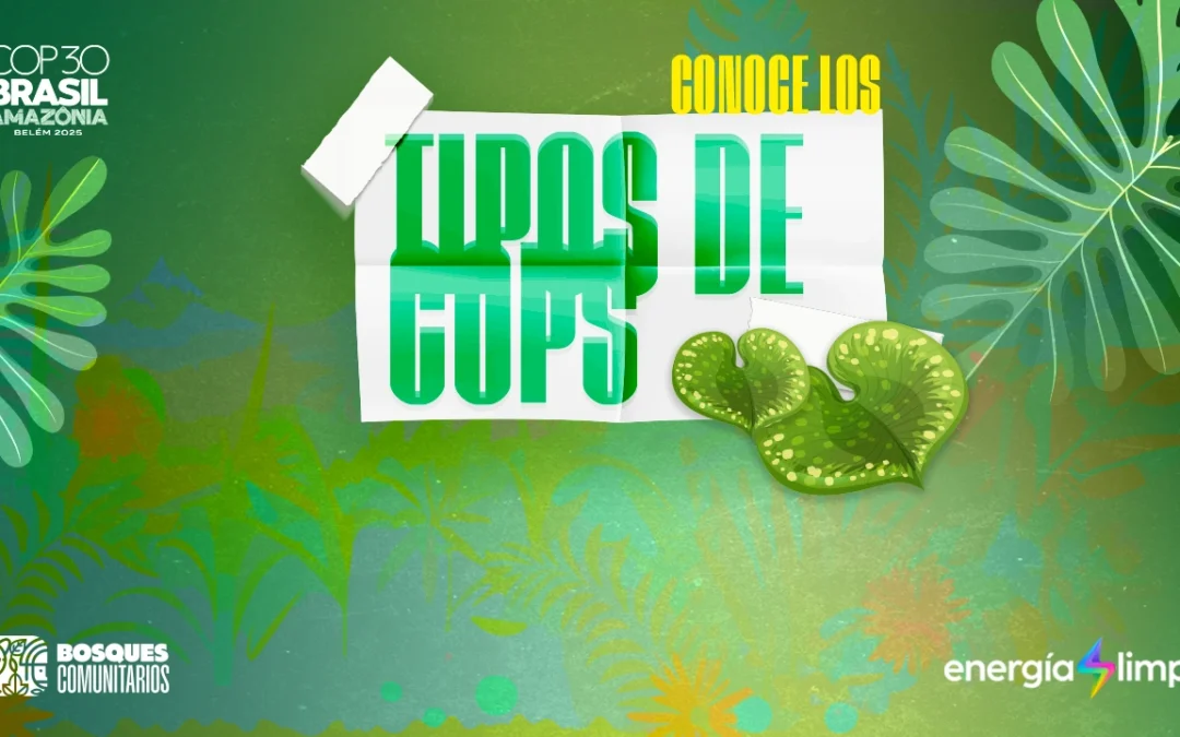 Tipos de COP: las tres conferencias que dan forma al futuro del planeta