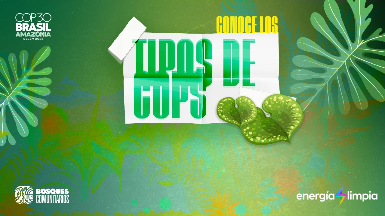 Tipos de COP: las tres conferencias que dan forma al futuro del planeta