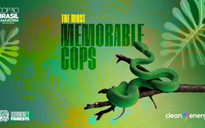 The most relevant COPs in history