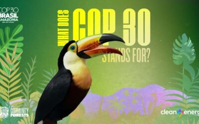 What does COP stands for?