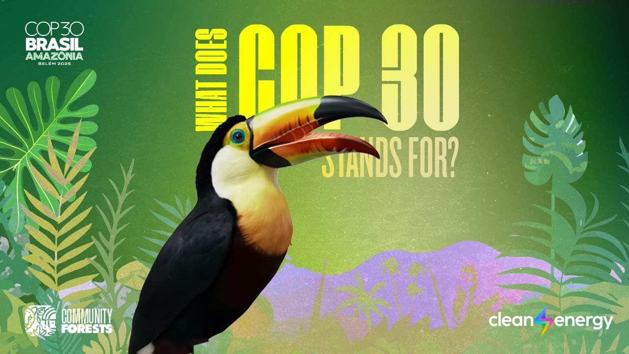 What does COP stands for?