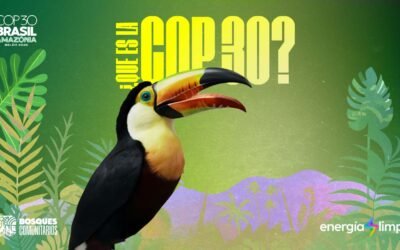 ¿Qué es la COP?