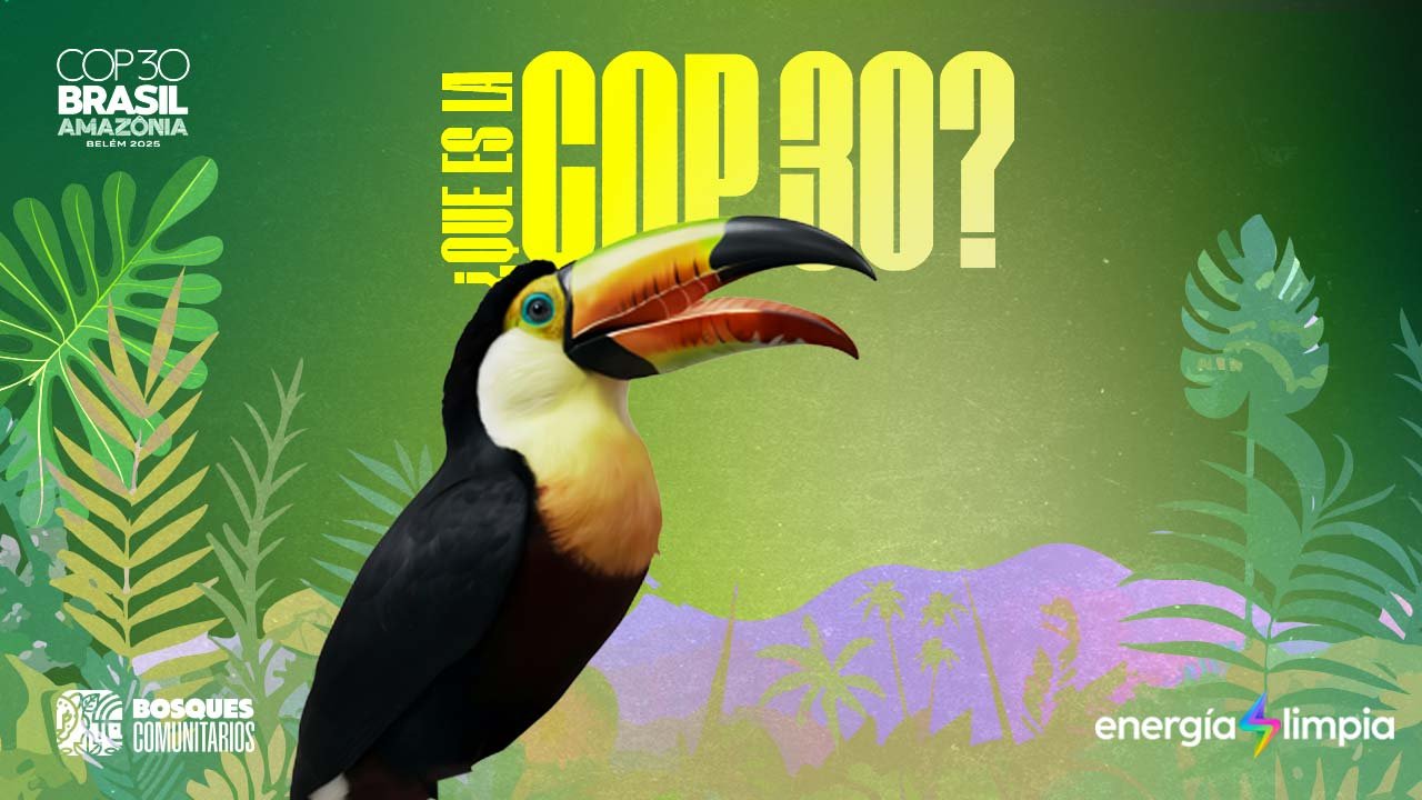 ¿Qué es la COP?
