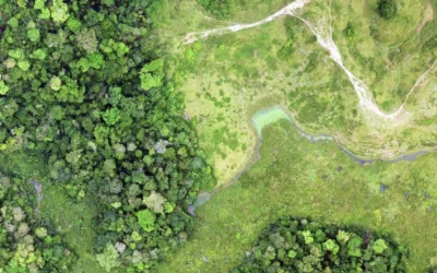 Explorer.land: El Proyecto Yaire y la biodiversidad de la Amazonía en acción