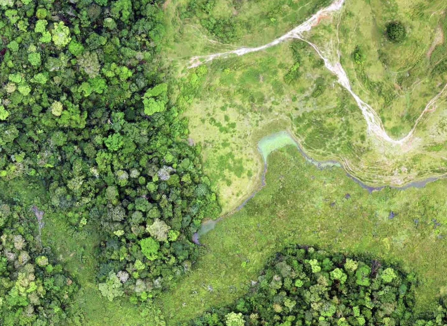 Explorer.land: El Proyecto Yaire y la biodiversidad de la Amazonía en acción