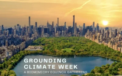 Grounding Climate Week: A Biomimicry Equinox Gathering
