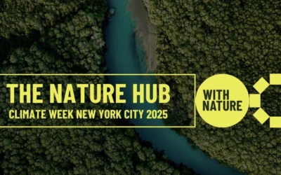 Unlocking Forest Finance: A Roadmap for Action at Climate Week NYC 2025