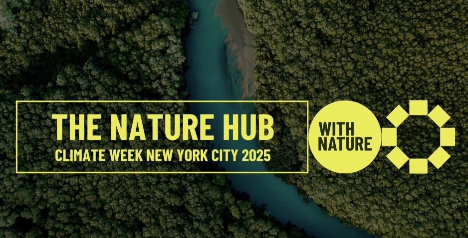 Unlocking Forest Finance: A Roadmap for Action at Climate Week NYC 2025