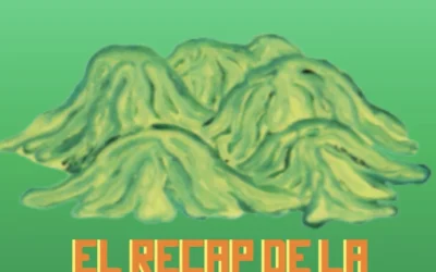 Voices of Sustainability at Festival Cordillera