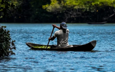 🌱 The Community Forests y Yauto, juntos por la innovación ambiental en la Cumbre Internacional 2025