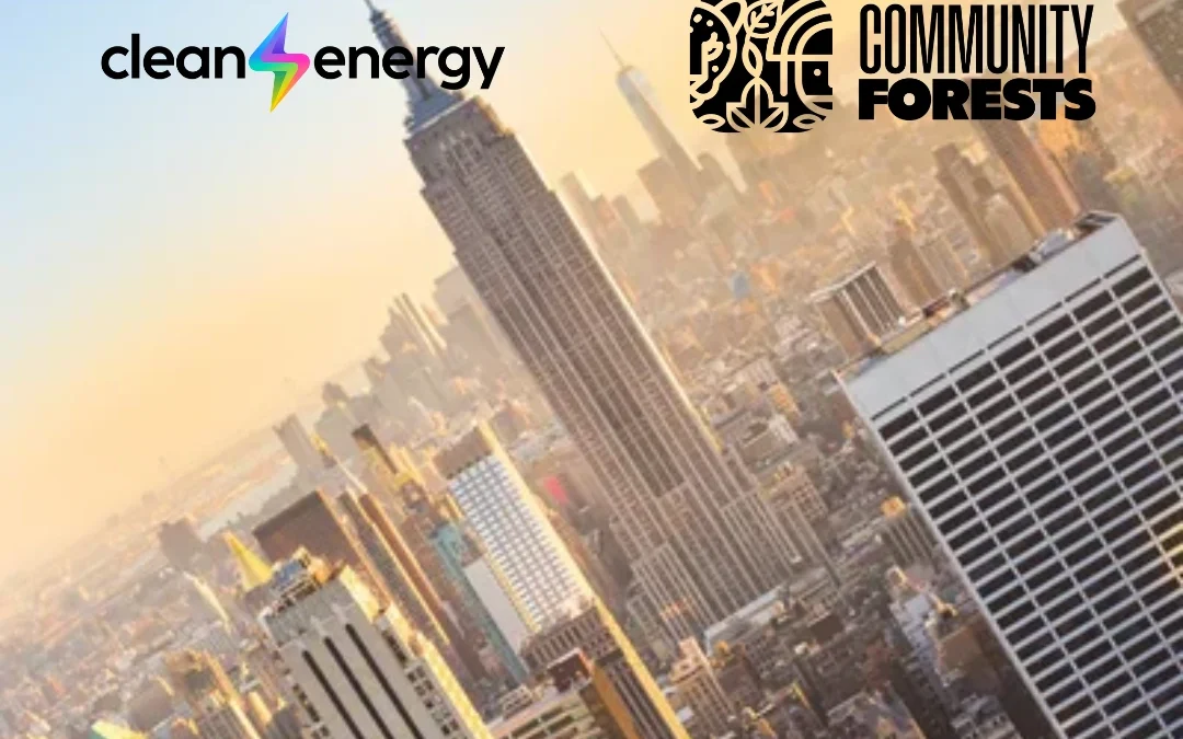 🌍 What solutions does Climate Week NYC 2025 propose?