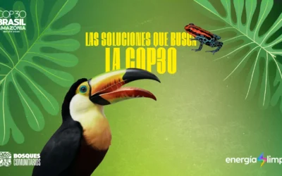 🌎 ¿Qué soluciones propone la COP30?
