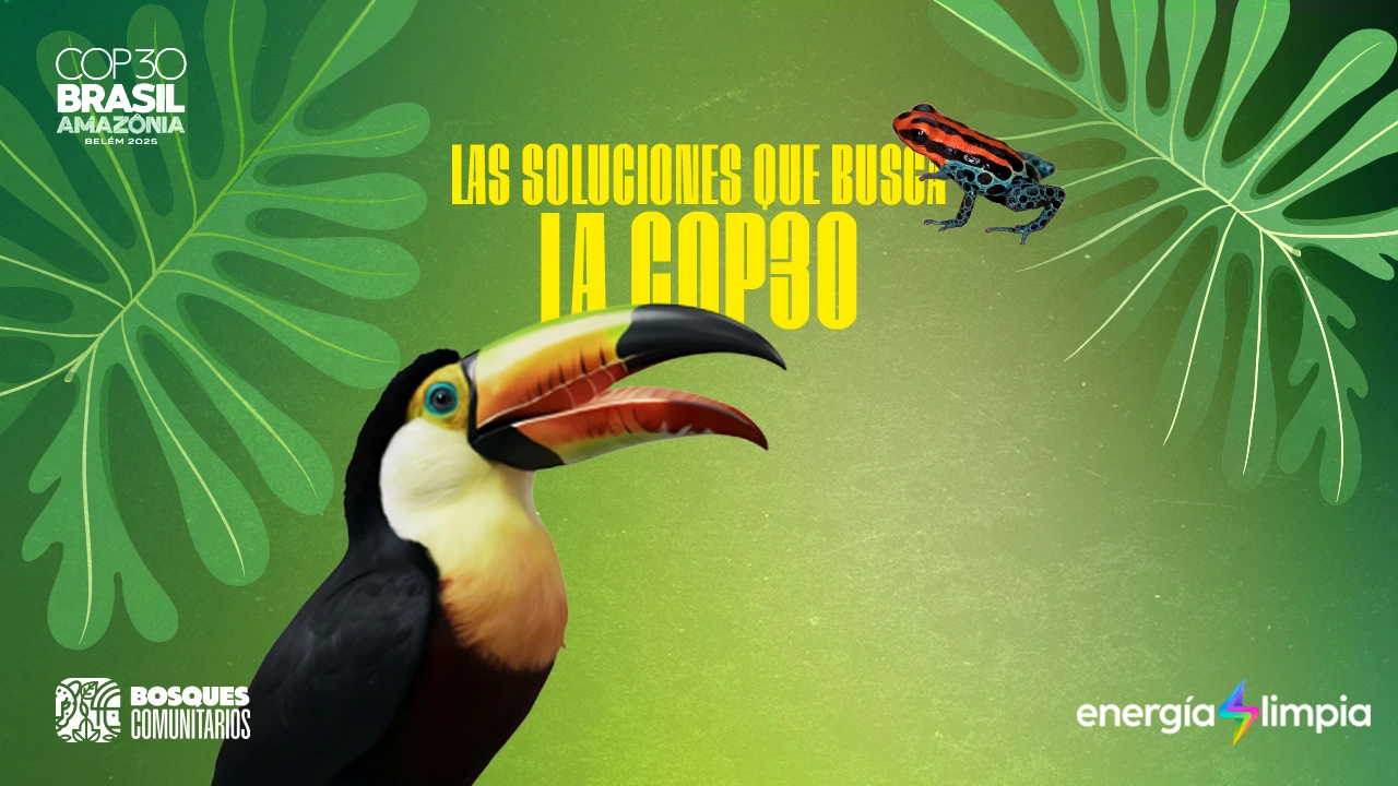 🌎 ¿Qué soluciones propone la COP30?
