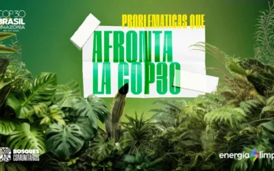 Las problemáticas ambientales que busca enfrentar la COP30