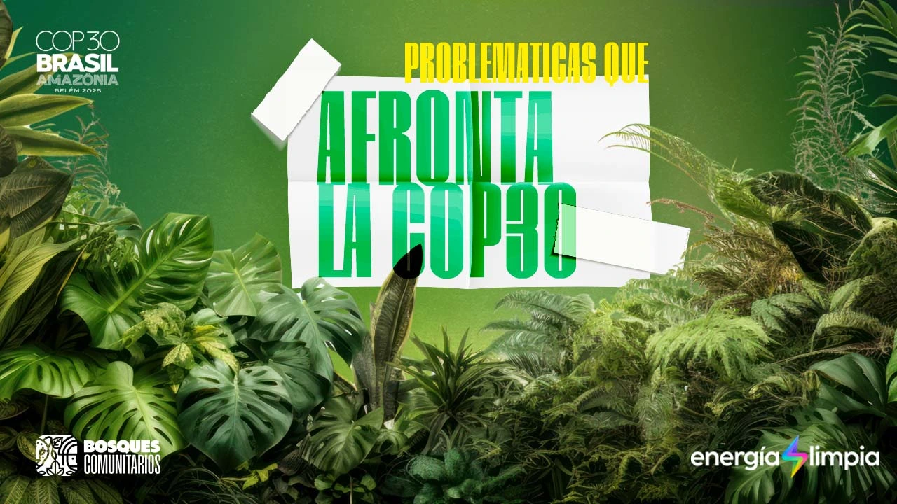 Las problemáticas ambientales que busca enfrentar la COP30