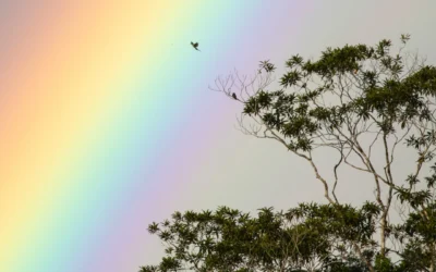 Voces del territorio en la Cumbre del Clima