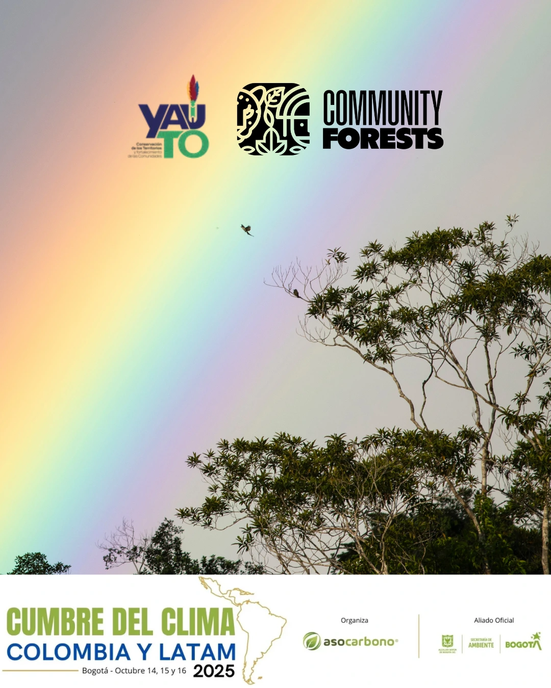 Voces del territorio en la Cumbre del Clima