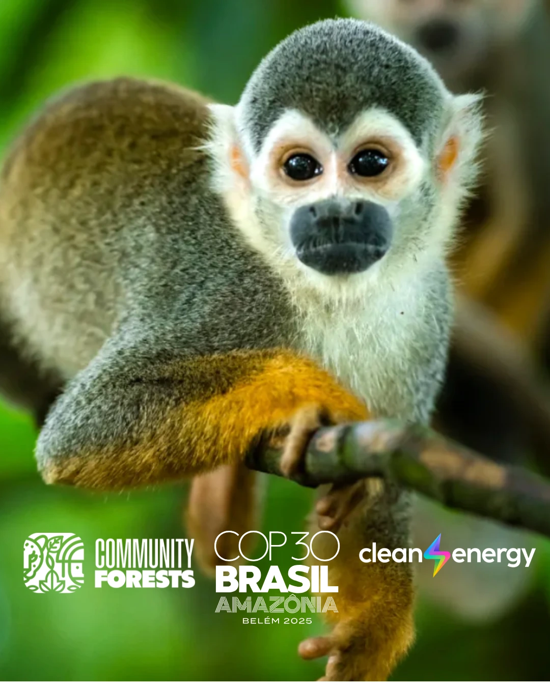 COP30, Cradle of Biodiversity