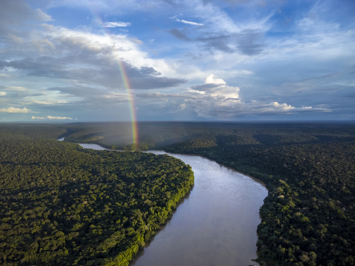 Festival Estéreo Picnic Offsets Its Carbon Footprint Together with The Community Forests Festival Estéreo Picnic Offsets Its Carbon Footprint Together with The Community Forests