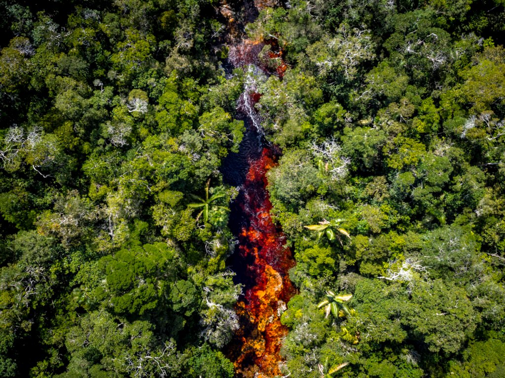 Vista aérea de un río amazónico de aguas oscuras rodeado por selva densa y vegetación tropical en el territorio del proyecto REDD+ CRIMA.